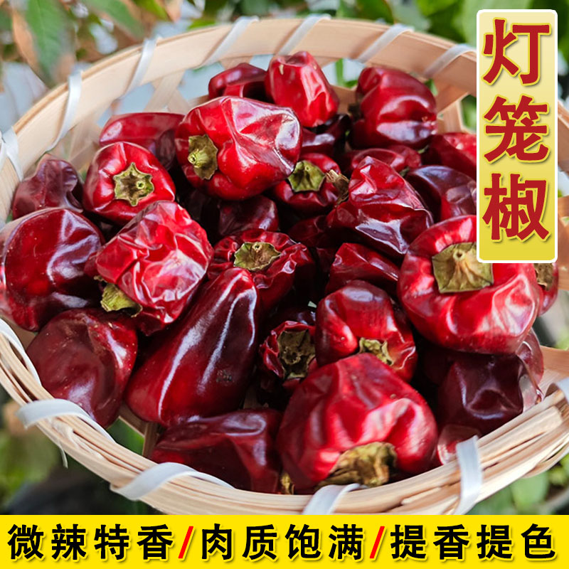 微微辣特香贵州灯笼椒干辣椒卤料