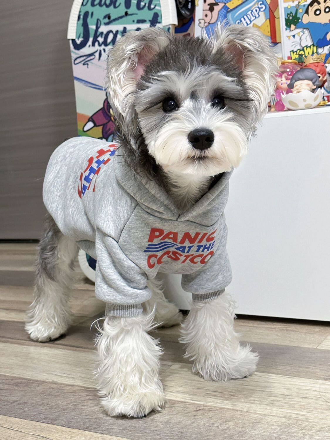 秋冬天宠物猫咪狗狗衣服韩版防掉毛法斗雪纳瑞泰迪加绒保暖卫衣潮