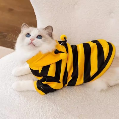 猫咪衣服秋冬防掉毛宠物布偶小猫德文暹罗幼猫狗狗冬季保暖款服装