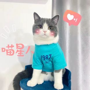 宠物猫衣服夏季 透气可爱印花背心布偶蓝猫公猫小猫宠物防掉毛 薄款