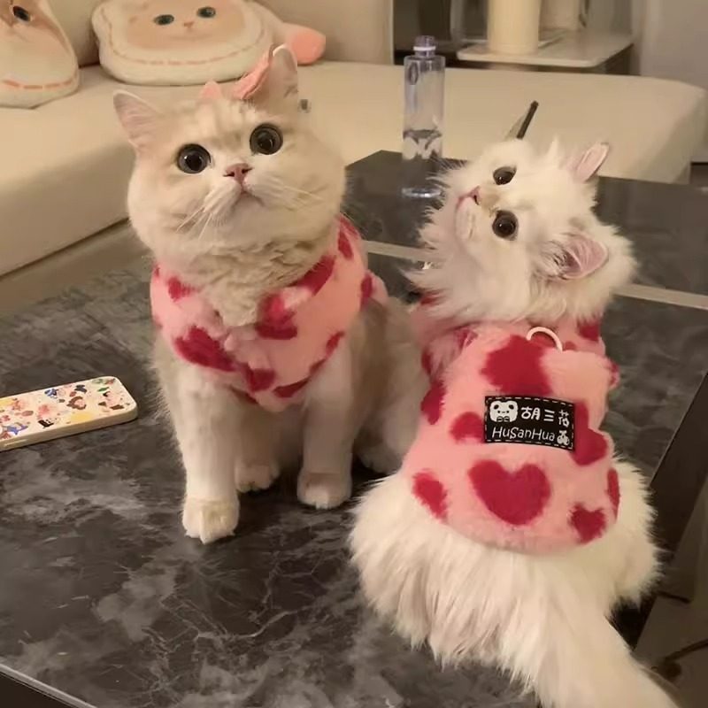 猫咪衣服秋冬毛绒爱心保暖背心马甲布偶金银渐层小猫幼猫宠物冬装,宠物/宠物食品及用品,猫宠物服装/雨衣（新）,淘宝优惠券,粉丝福利购,淘宝优惠卷