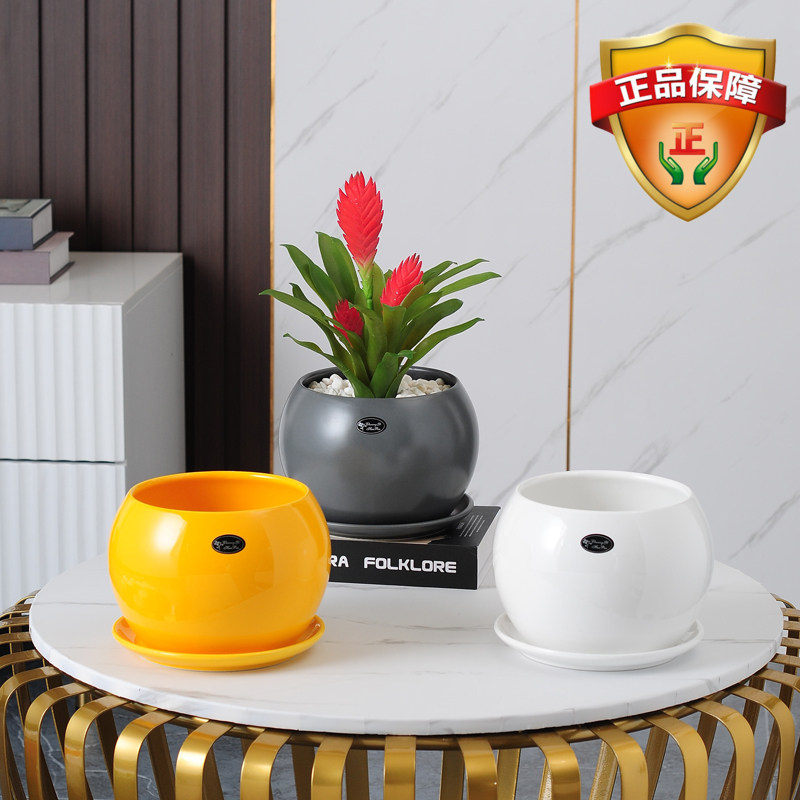 创意圆形花盆小大号陶瓷北欧简约带托盘绿萝多肉盆栽家用客厅阳台,鲜花速递/花卉仿真/绿植园艺,花盆,淘宝优惠券,粉丝福利购,淘宝优惠卷
