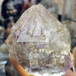 薰衣草酥皮超七骸骨