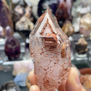 红泥骸骨带水胆