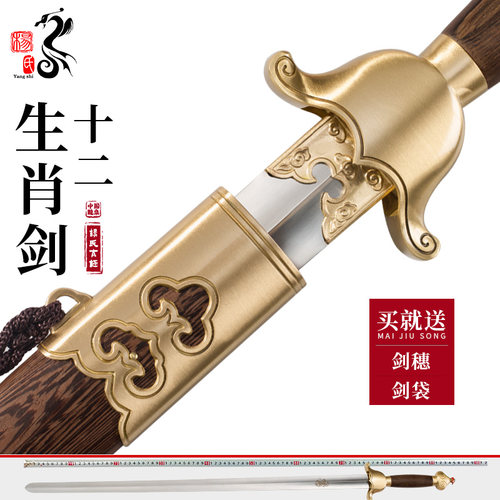 龙泉杨氏生肖男女晨练太极剑