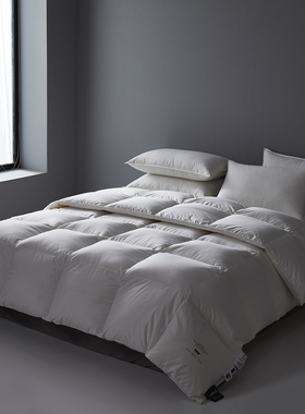 95雁鹅绒被子羽绒被被芯冬被加厚春秋被结婚被灰鹅绒冬季保暖双人