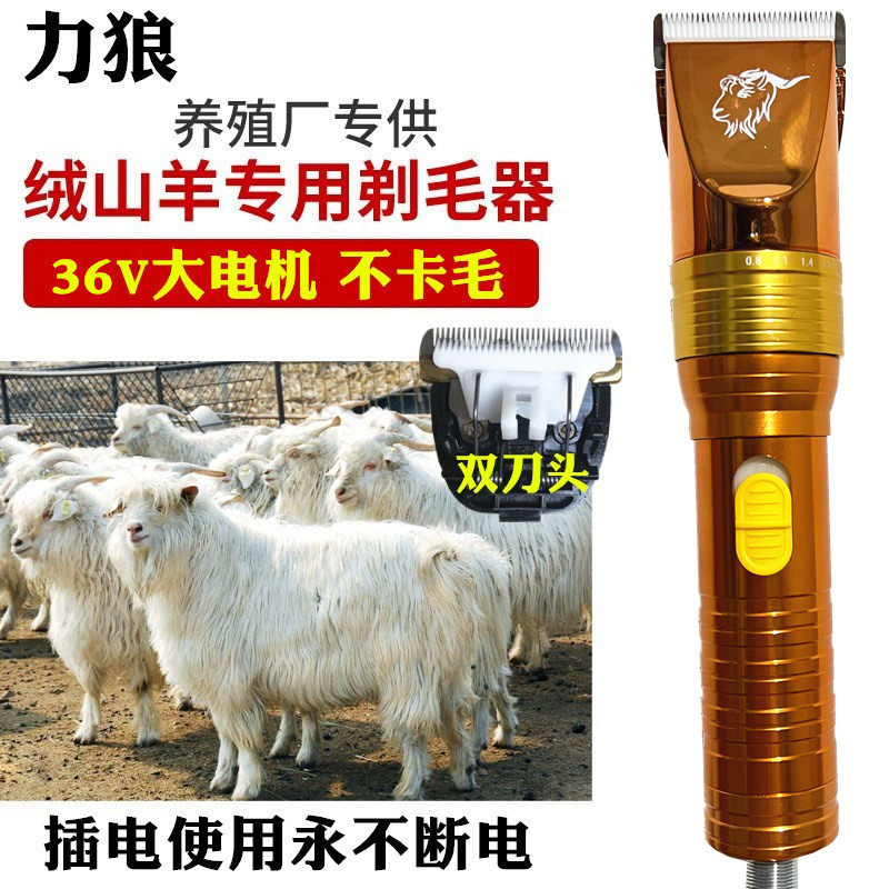 力狼大功率羊毛电推剪养殖场