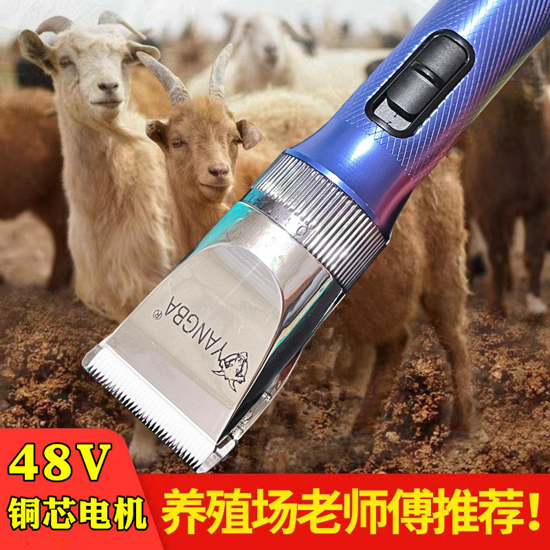 羊霸大功率48V绒山羊绵羊电推剪