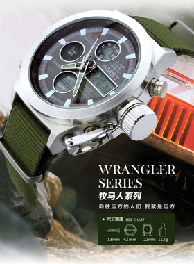 正品AMST艾美时特户外运动防水双显手表男士夜光多功能腕表 3003