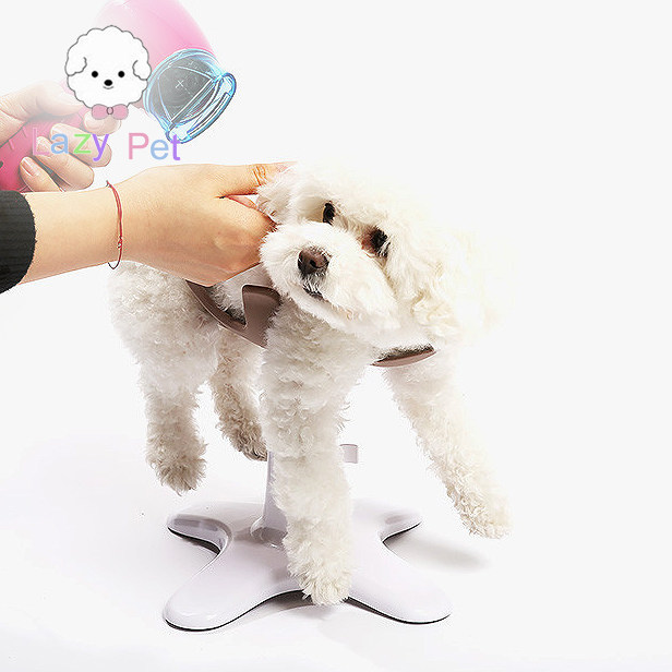 现货~韩国balsang宠物狗狗可调节旋转小型洗澡椅美容台