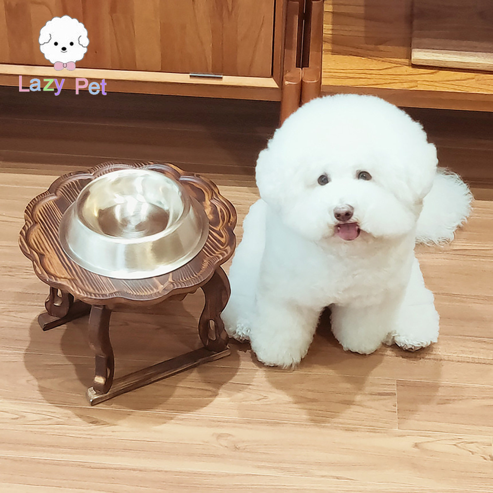 韩代宠物抗菌抗摔防打翻黄铜餐具