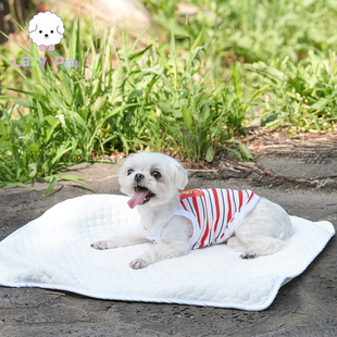 「Lazy Pet」韩国代购Lippy宠物猫狗夏季冷感降温可机洗蜂巢凉垫