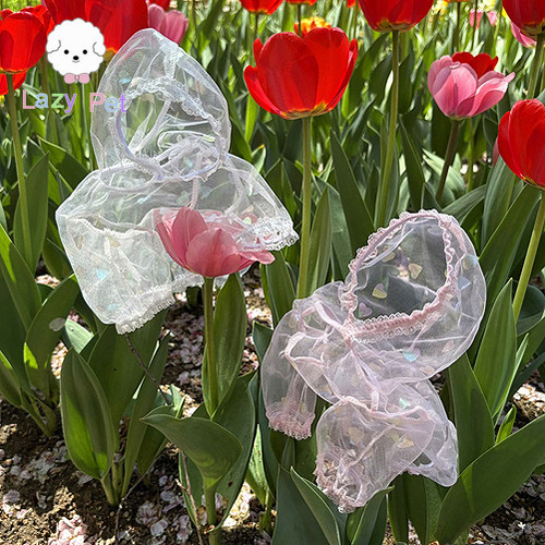 宠物夏季防蚊虫透视蕾丝连帽上衣