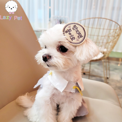 韩国代购定制刺绣发夹别针胸针