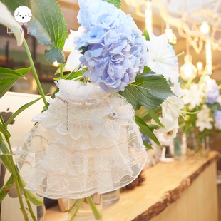 蕾丝网纱蝴蝶结珍珠连衣裙 宠物猫狗特别版 「Lazy Pet」韩国代购