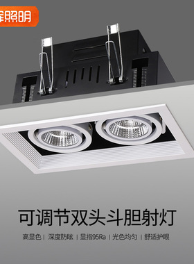 led斗胆方射灯筒灯cob双头格栅吊顶20w30瓦12w店铺三头长方形豆胆