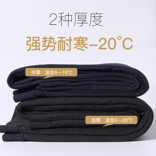 高腰修身 新品 女羊毛保暖裤 男加绒加厚东北高腰冬季 桑蚕丝棉裤