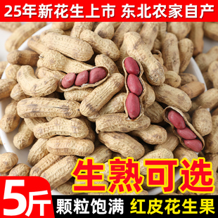 东北四粒红生花生25年新鲜晒干农家自种红衣带壳熟花生批发零售