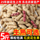 东北四粒红生花生25年新鲜晒干农家自种红衣带壳熟花生批发零售