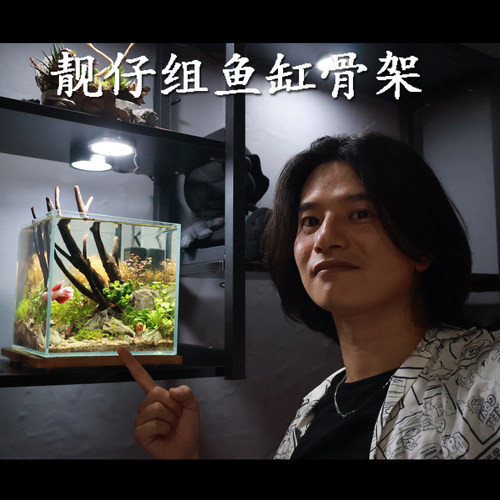 直播固定骨架鱼缸造景原生态沉木