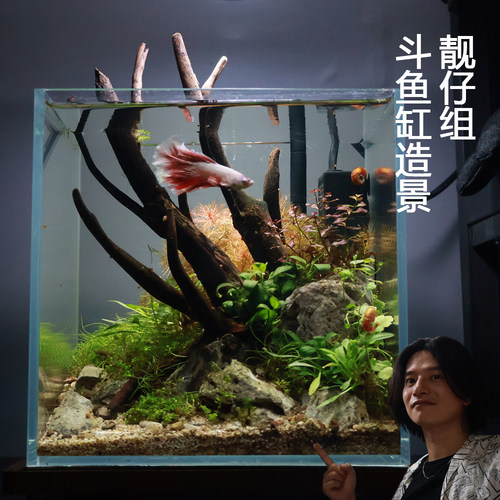 鱼缸造景斗鱼缸固定骨架20方缸