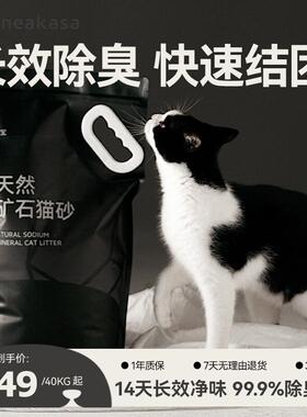 NEAKASA宜宝矿石猫砂 强力除臭除菌 低尘膨润土混合猫砂40KG
