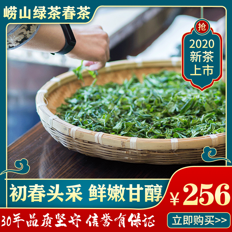 崂山绿茶500g浓香型2023新春绿茶手工大田茶头采特级茶叶青岛特产