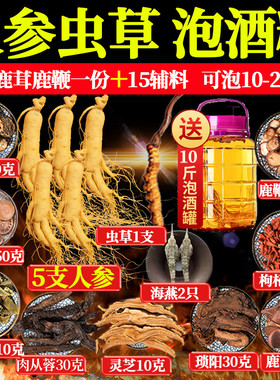 泡酒药材专用男士人参十全套装泡酒材料肾配方药酒补鹿鞭泡酒料包