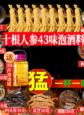 泡酒药材专用滋补养生泡酒料久男性十全肾大人参持材料补配方套餐