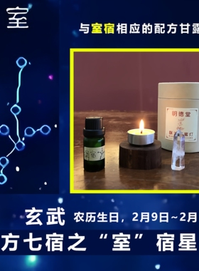 酥油灯星宿灯甘露灯蜂蜡灯