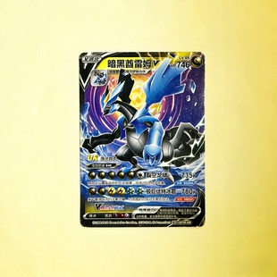 EXR暗黑酋雷姆神奇宝贝宝可梦卡片卡牌稀有卡焰白酋雷姆传说的龙
