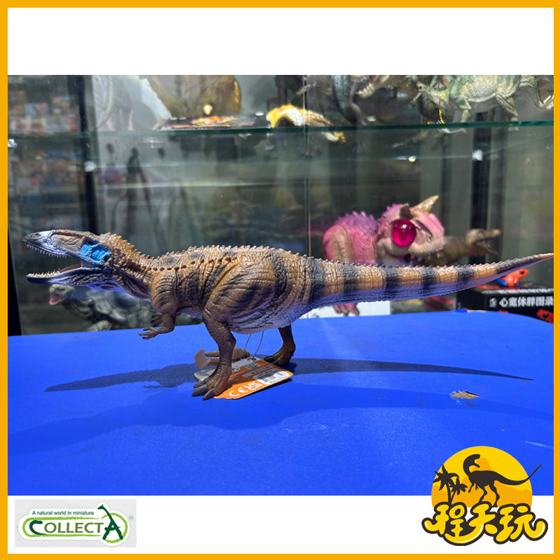 英国CollectA我你他1:40鲨齿龙88642 仿真动物侏罗纪恐龙模型玩具
