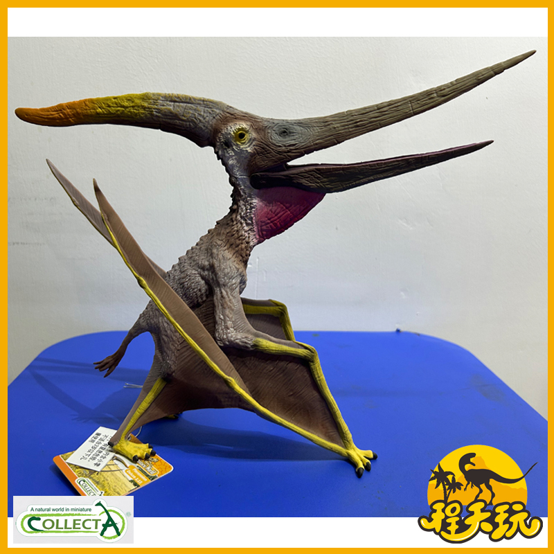 英国collectA我你他115无齿翼龙
