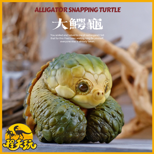 博物志原创2024吨吨动物园龟第一弹大鳄龟白化佛鳄龟潮玩手办模型