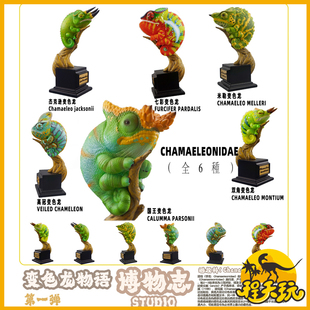 博物志变色龙王国第一弹模型手办树脂潮玩高冠七彩杰克逊蜥蜴恐龙
