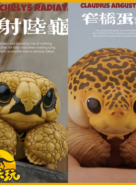 博物志2025吨吨动物园龟第五弹窄桥蛋龟辐射陆龟潮流玩具手办模型