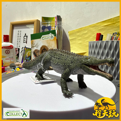 英国CollectA我你他1:40巨像鳄活动嘴巴80061三叠纪古生物模型PVC