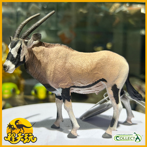 CollectA非洲剑羚仿真模型车摆件