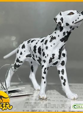 英国CollectA我你他斑点狗80040萌犬狗狗宠物玩具模型2025新品PVC