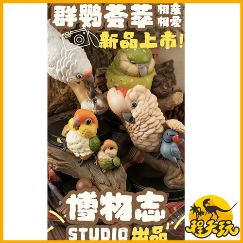 博物志原创鹦鹉群鹦荟萃plus第二弹鹦鹉模型摆件鹦鹉潮玩盲盒手办