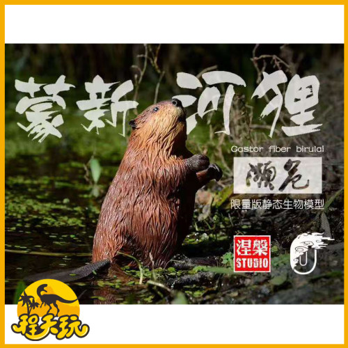 涅槃模型&零介工作室TA系列第004弹蒙新河狸潮流玩具树脂摆件雕像