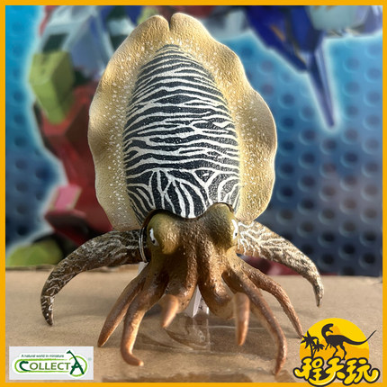 英国CollectA我你他墨鱼80009 仿真海洋动物模型乌贼模型玩具手办