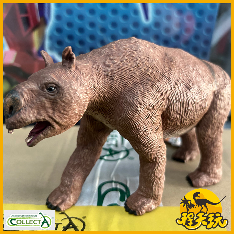 英国CollectA我你他1:20双门齿兽80023仿真史前动物古生物模型PVC