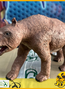 英国CollectA我你他1:20双门齿兽80023仿真史前动物古生物模型PVC