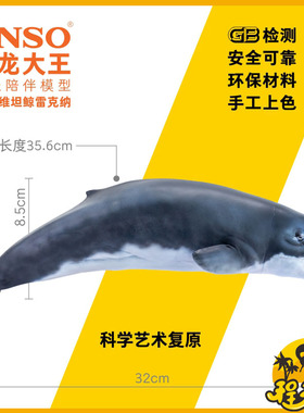 PNSO恐龙大王利维坦鲸雷克纳成长陪伴模型56仿真海洋动物玩具手办