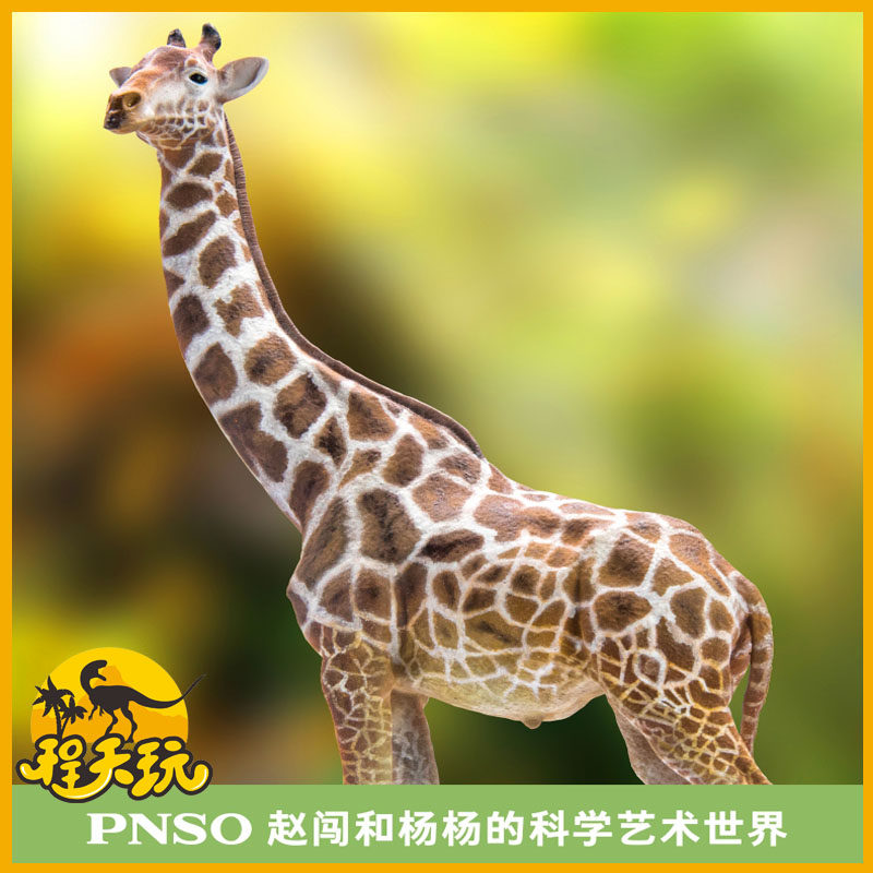 pnso动物园成长陪伴模型长颈鹿奔巴仿真非洲丛林动物儿童手办玩具