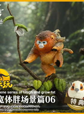 动物星云心宽体胖场景篇第6弹金丝猴加红角鸮GK 车摆件送特典玩具