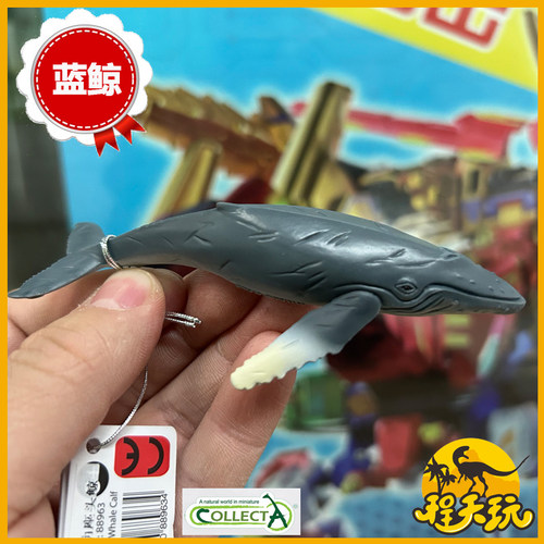 英国CollectA我你他幼座头鲸88963仿真极地海洋动物鲸模型手办PVC