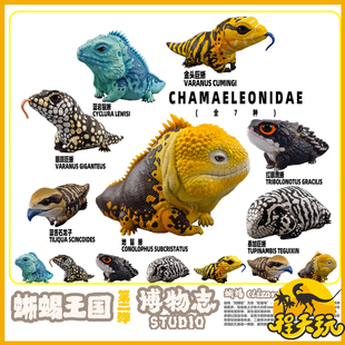 博物志工作室蜥蜴王国第二弹蓝舌石龙子蓝岩金头巨蜥等潮玩手办GK