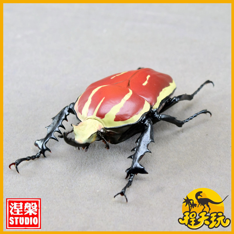 涅槃模型乌干达花金龟红色配色02款甲虫宇宙仿真动物树脂冰箱贴车